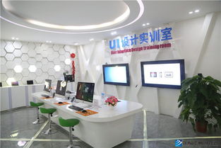 新华互联网科技四大特色学院启动，引领计算机科技领域技术开发新篇章