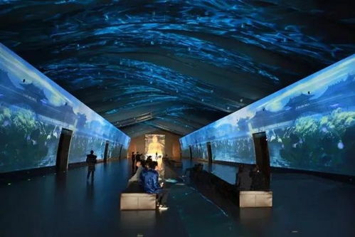 科技赋能，连接古今 探索博物馆发展的新趋势