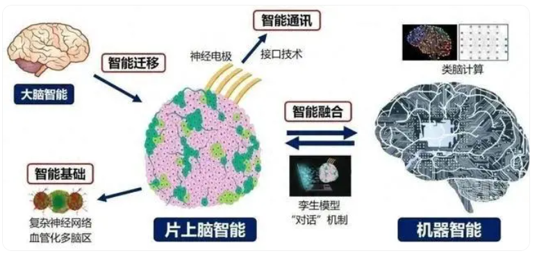 国产脑机接口技术突破引瞩目,微美全息(WIMI.US)持续科研深耕引领产业创新浪潮
